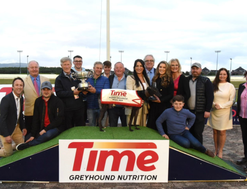 Time Greyhound Nutrition Continues as Title Sponsor for the Prestigious Dundalk International Race for the Third Consecutive Year