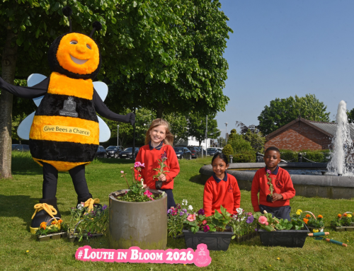 Council Launches Louth in Bloom 2026 Competition